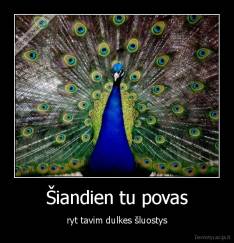 Šiandien tu povas - ryt tavim dulkes šluostys