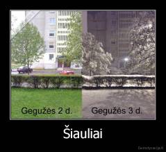 Šiauliai - 