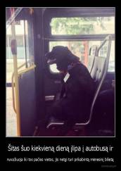 Šitas šuo kiekvieną dieną įlipa į autobusą ir - nuvažiuoja iki tos pačios vietos, jis netgi turi prikabintą mėnesinį bilietą