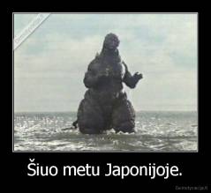 Šiuo metu Japonijoje. - 