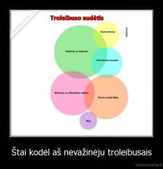 Štai kodėl aš nevažinėju troleibusais - 