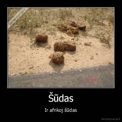 Šūdas - Ir afrikoj šūdas