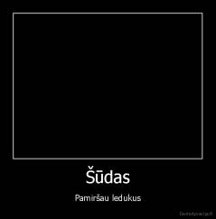 Šūdas - Pamiršau ledukus