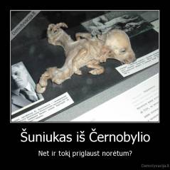 Šuniukas iš Černobylio - Net ir tokį priglaust norėtum?