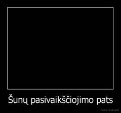 Šunų pasivaikščiojimo pats - 