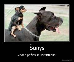 Šunys - Visada pažinsi kuris turtuolio 