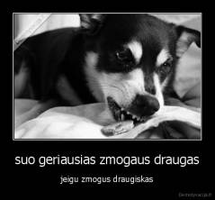 suo geriausias zmogaus draugas - jeigu zmogus draugiskas