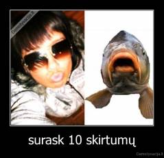 surask 10 skirtumų - 