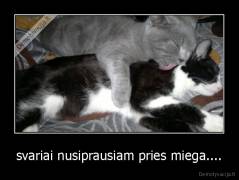 svariai nusiprausiam pries miega.... - 