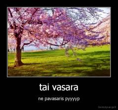 tai vasara - ne pavasaris pyyyyp