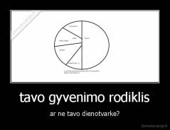 tavo gyvenimo rodiklis - ar ne tavo dienotvarke?