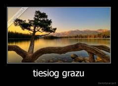 tiesiog grazu - 