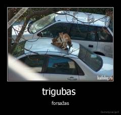 trigubas  - forsažas