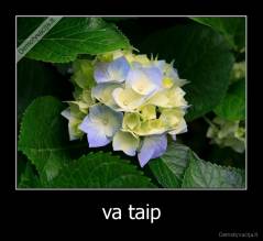 va taip - 