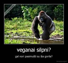 veganai silpni? - gal nori pasimušti su šia gorila?