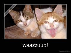 waazzuup! - 