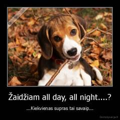 Žaidžiam all day, all night....? - ...Kiekvienas supras tai savaip...