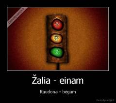 Žalia - einam - Raudona - bėgam