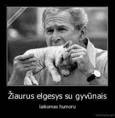 Žiaurus elgesys su gyvūnais - laikomas humoru