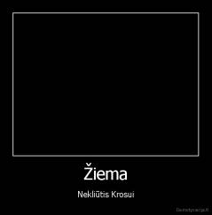 Žiema - Nekliūtis Krosui