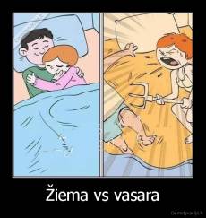 Žiema vs vasara - 