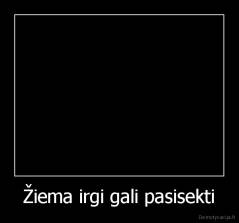 Žiema irgi gali pasisekti - 