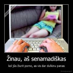 Žinau, aš senamadiškas - kol jūs žiurit porno, as vis dar dulkinu panas