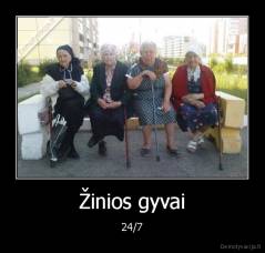 Žinios gyvai - 24/7