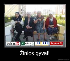 Žinios gyvai! - 