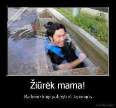 Žiūrėk mama! - Radome kaip pabėgti iš Japonijos