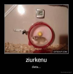 ziurkenu - dieta...