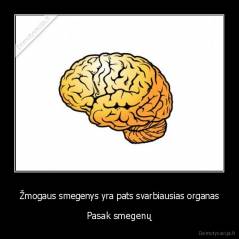 Žmogaus smegenys yra pats svarbiausias organas - Pasak smegenų