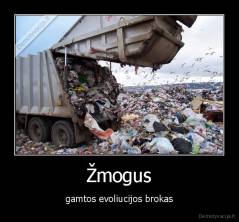 Žmogus - gamtos evoliucijos brokas