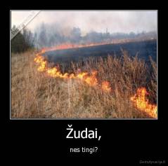 Žudai, - nes tingi?