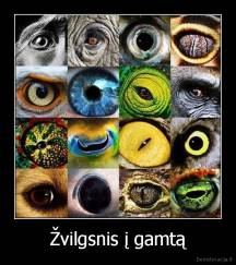 Žvilgsnis į gamtą - 